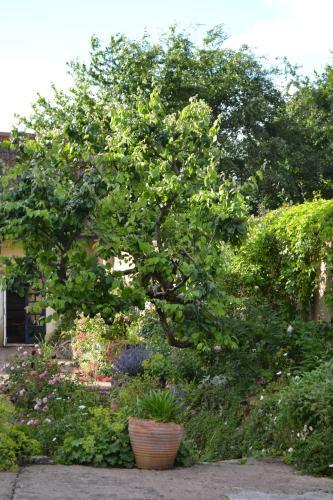 Agroturismo The Linhay