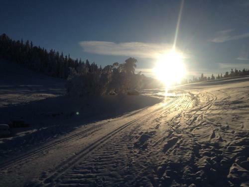 Lodge Nyst�len Hyttegrend