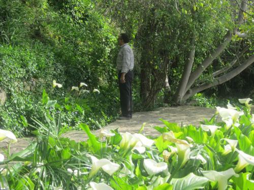 Hotel H�tel Des Cascades Ecolodge