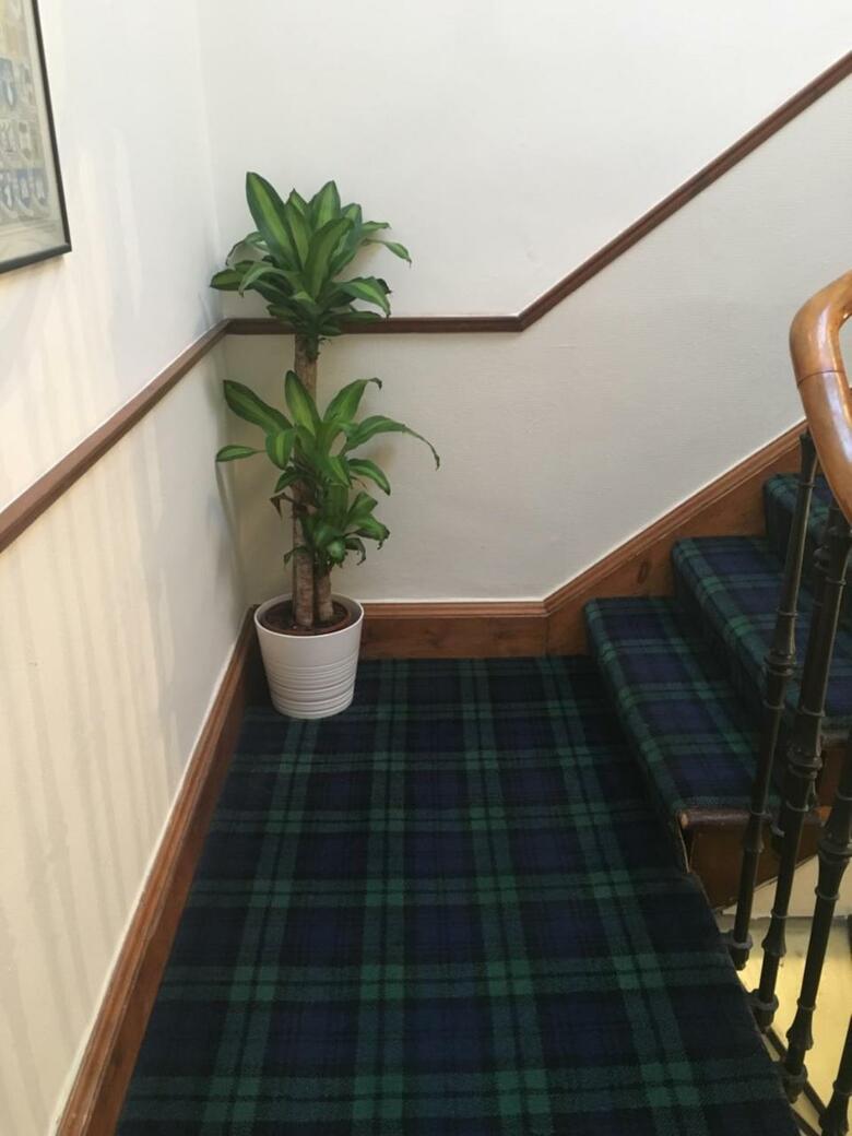 Hostal Airdenair Guest House
