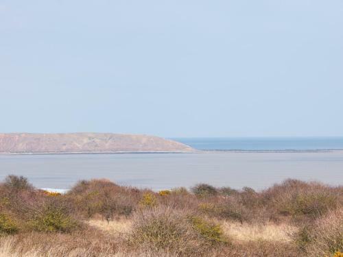 Seadrift, Filey