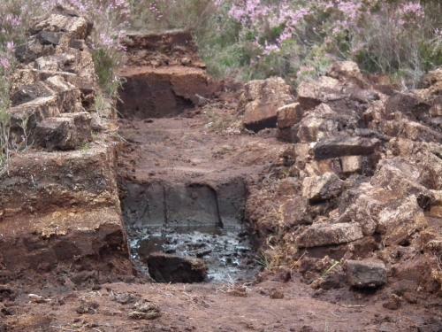 Apartamentos An Creag�n Self Catering Cottages