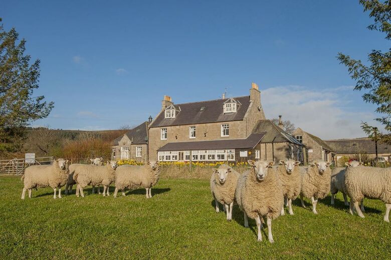 Posada Kildrummy Inn