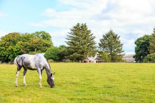 Hostal Langdon Farm Guest House