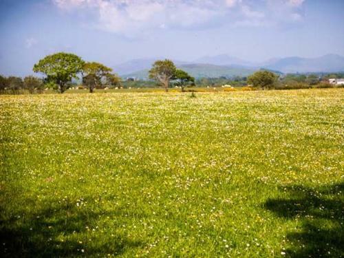 Bwthyn Y Dderwen (oak Cottage)