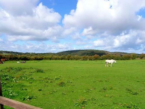 2 Black Horse Cottages