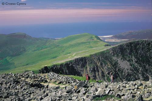 Foel Fach