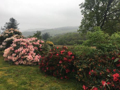 Strathlachlan Lodge