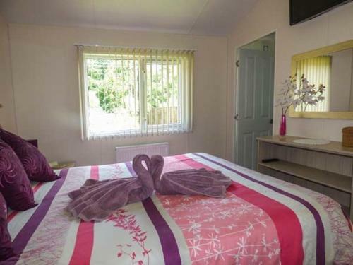 Squirrel Lodge At Woodlands View