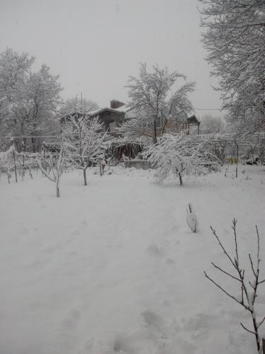 Hostal Guest House Nike