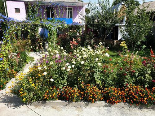 Bed & Breakfast Guest House Tsiskari