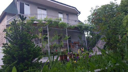 Bed & Breakfast Green House Ml