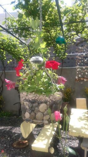 Hostal House Rustaveli Street 112