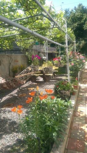 Hostal House Rustaveli Street 112