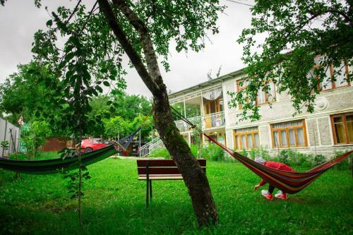 Hostal Guest House Mebo