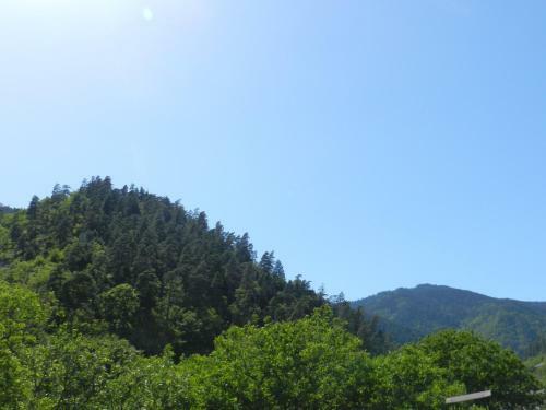 Hostal Zviad Guest House