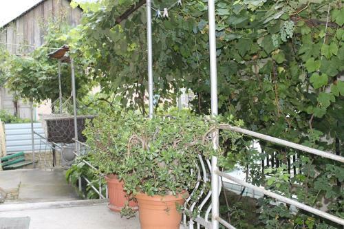 Hostal Mariko