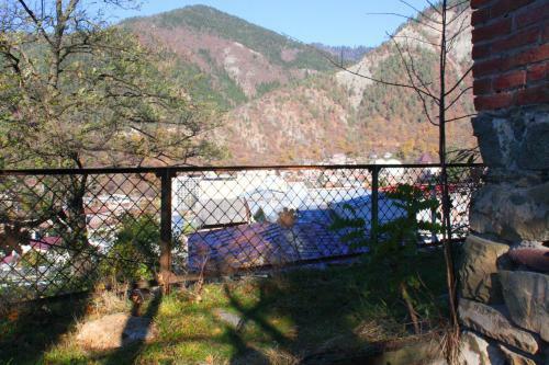 Hostal Old Borjomi House