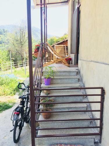 Hostal Guest House Orange Pumpkin