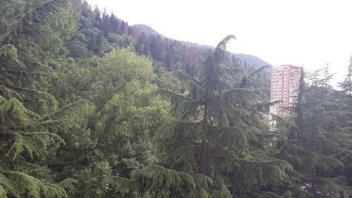 Hostal Guesthouse Malkhaz