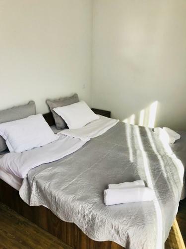 Hostal Borjomi Inn