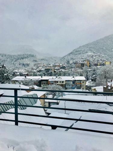 Hostal Borjomi Inn