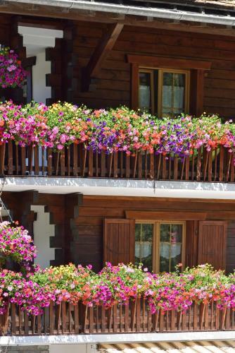 Hotel M�l�zes