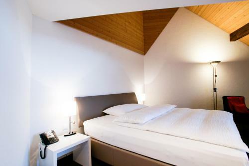 Hotel Restaurant Ochsen & Lodge