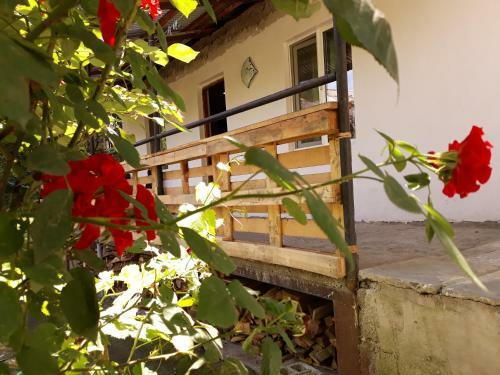 Hostal Weekend House