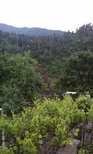 Albergue Guesthouse Valeria