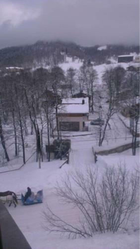 Konstantine's Chalet