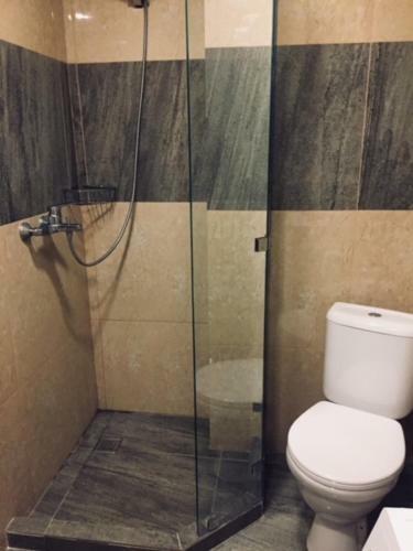 Super Apartment In Bakuriani