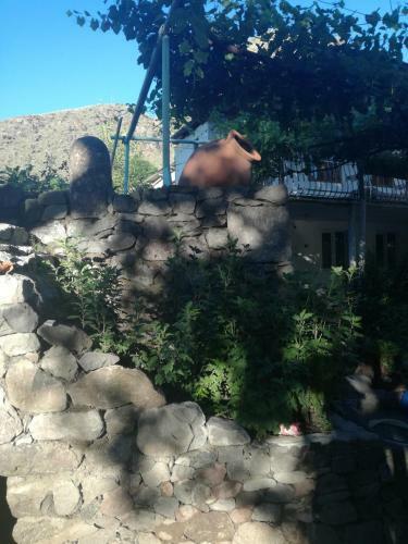 Hostal Guesthouse Barbi Maria
