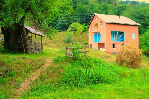 Hostal Guest House "oasis"