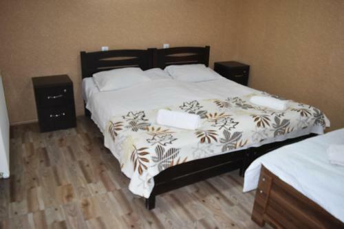 Hostal Traveler Kazbegi Guesthouse