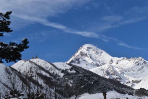Hostal Traveler Kazbegi Guesthouse