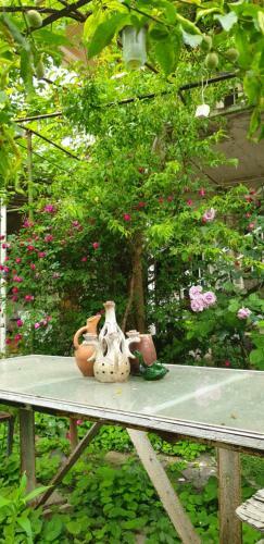Hostal Babibu