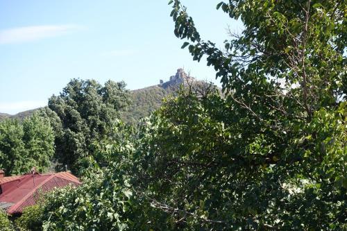 Apartamento Hotel Rosti