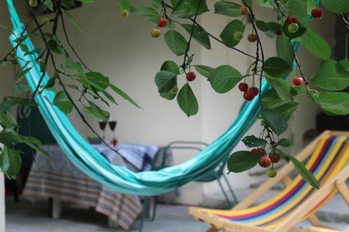 Apartamento Vanjelo