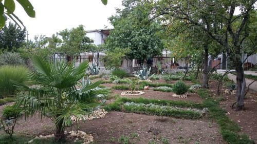 Hostal Tsivi Tba