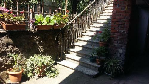 Hostal Guest House Panda