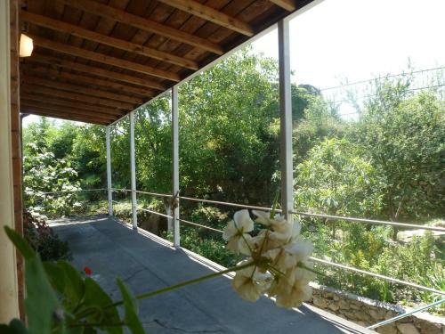 Hostal Melu's Guest House