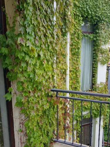 Apartamento Voyage Flats