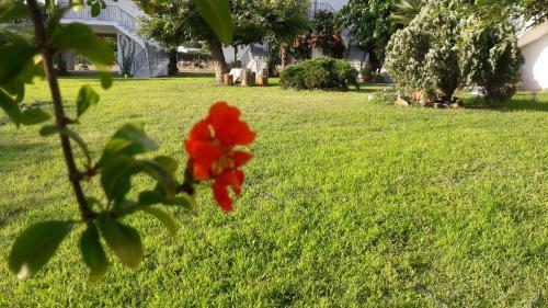 Apartamento Koyias Village