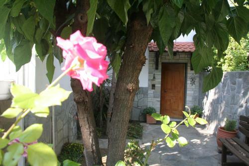Posada Alexandros Rooms