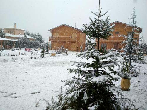Kastor Chalets
