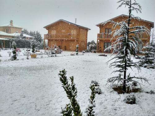 Kastor Chalets