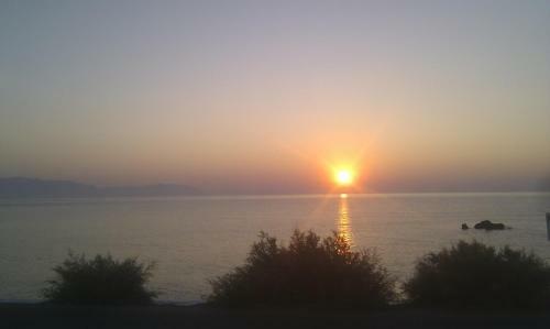 Hostal Pelagia Beach Studios