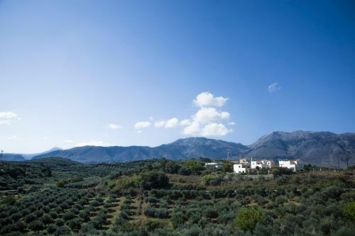 Home Skouloudi