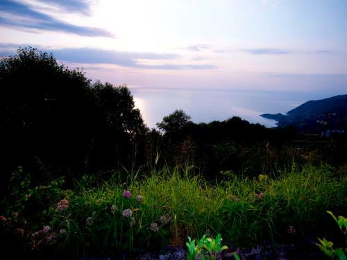 Hostal Villa Aglaini